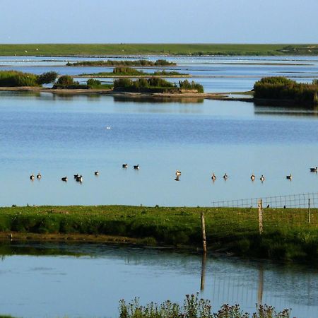 Haus-Halligblick-Ferienwohnung-Hamburger-Hallig Dagebüll Kültér fotó
