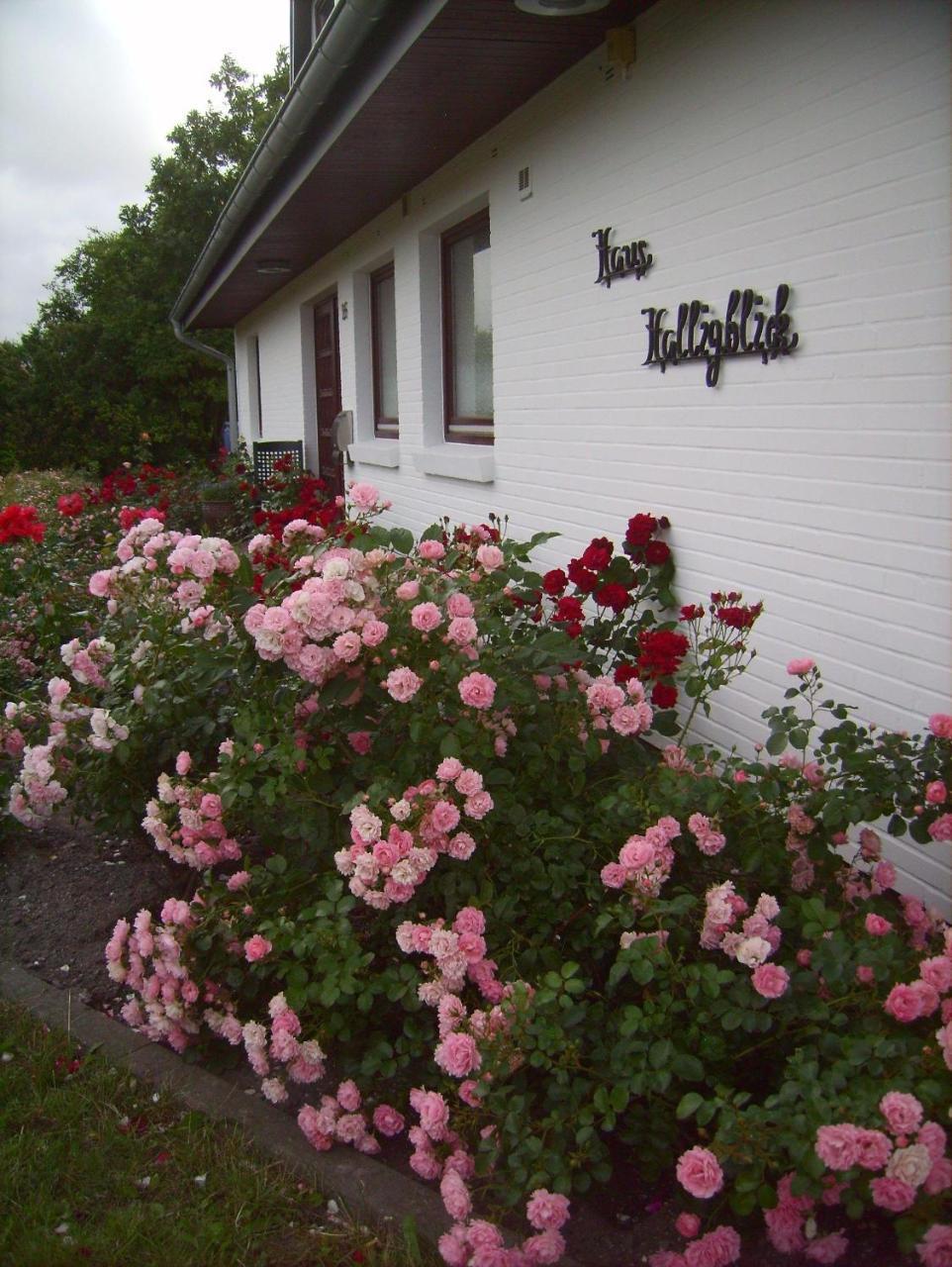 Haus-Halligblick-Ferienwohnung-Hamburger-Hallig Dagebüll Kültér fotó