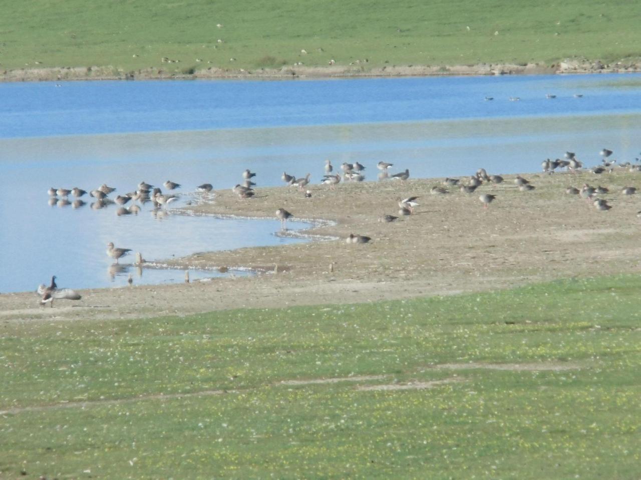 Haus-Halligblick-Ferienwohnung-Hamburger-Hallig Dagebüll Kültér fotó