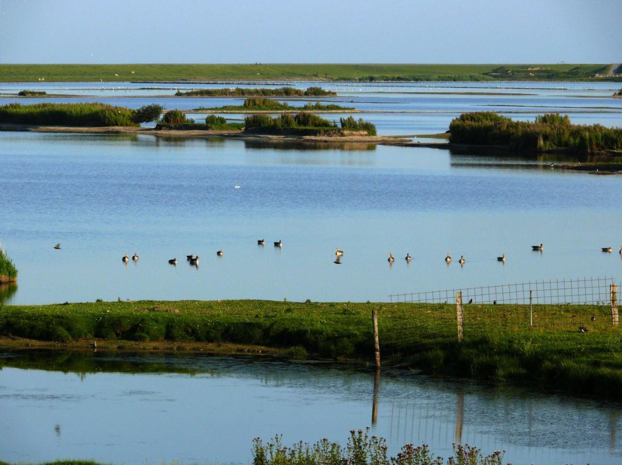 Haus-Halligblick-Ferienwohnung-Hamburger-Hallig Dagebüll Kültér fotó
